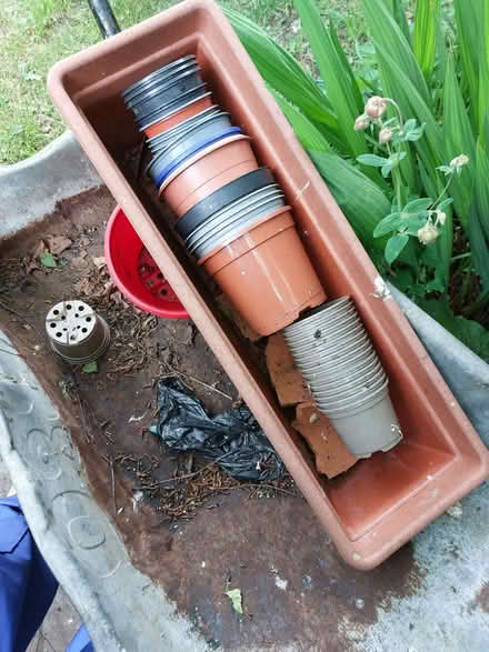 Photo of free Plantpots (Newbottle DH4) #1