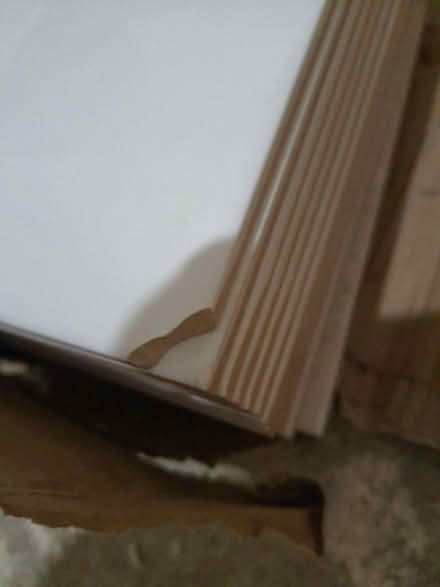 Photo of free Tiles (white) (Rotherhithe SE16) #2
