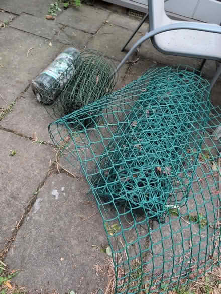 Photo of free Rolls of plastic trellis (NW11 Temple Fortune) #2