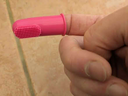 Photo of free Soft finger toothbrush for dogs and cats (Cotham Ward BS6) #2