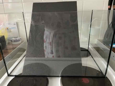 Photo of free Fish tank + mat (SG19) #1