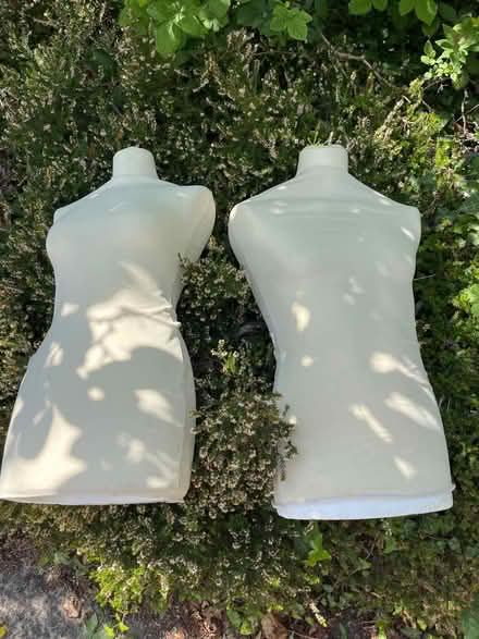 Photo of free 2 mannequins (GL1 Gloucester) #1