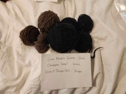 Photo of free Worsted wool yarn in autumn colors (Capitol Hill, DC) #4