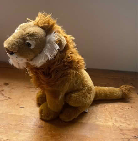 Photo of free Leo the Loveable Lion (Haywards Heath RH16) #2