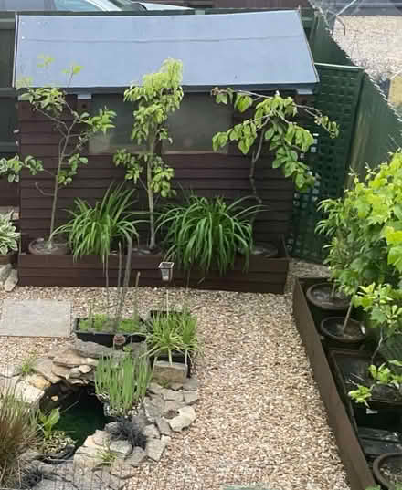 Photo of free Wooden panels (Hampton Vale, Peterborough) #4