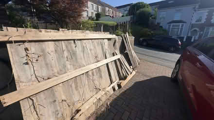 Photo of free Wood (Pontypridd CF37) #2
