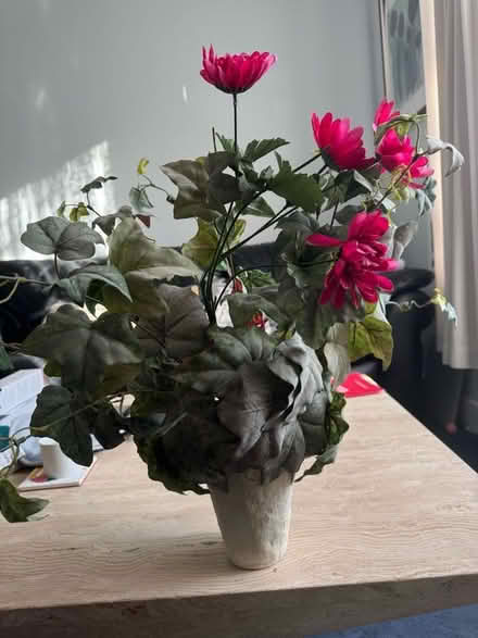 Photo of free Fake plant (Finsbury Park N4) #1