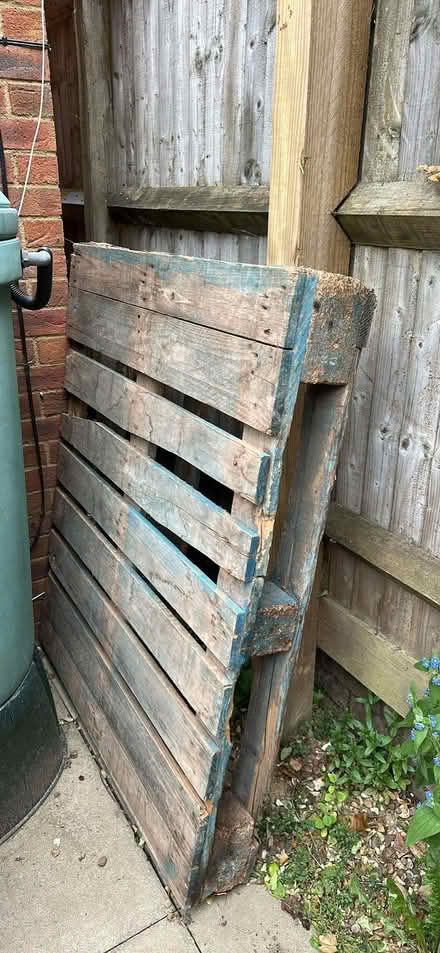 Photo of free 1 Wooden pallet (Linslade LU7) #1