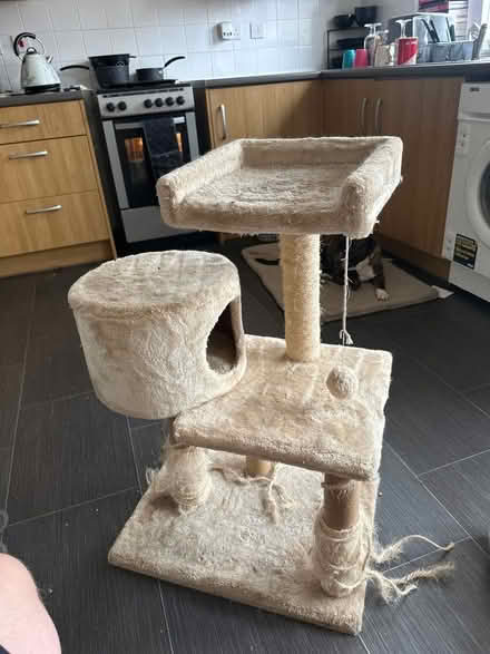 Photo of free Cat tree (Kenilworth CV8) #1