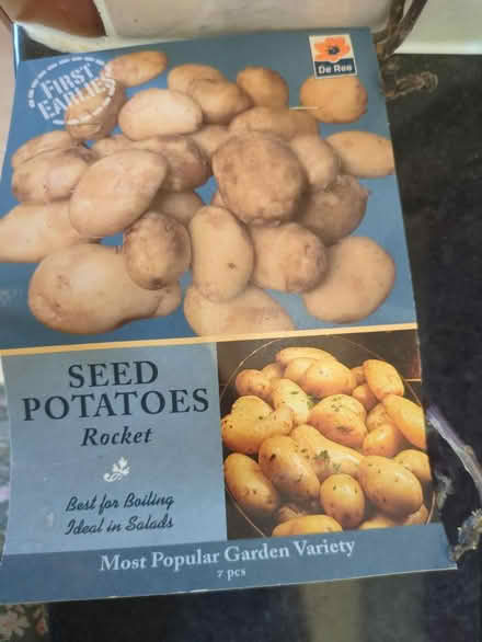 Photo of free Seed potatoes - Rocket (BS7) #1