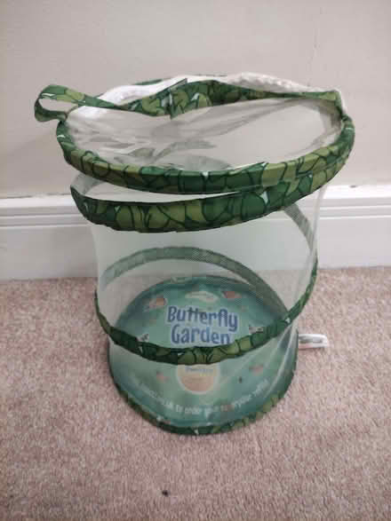 Photo of free Butterfly garden (Darby Green GU17) #1
