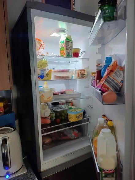 Photo of free Geladig fridge freezer (TQ12) #3