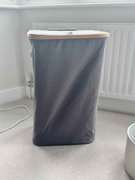Photo of free 100L laundry basket (Grove Park, Chiswick, W4) #1