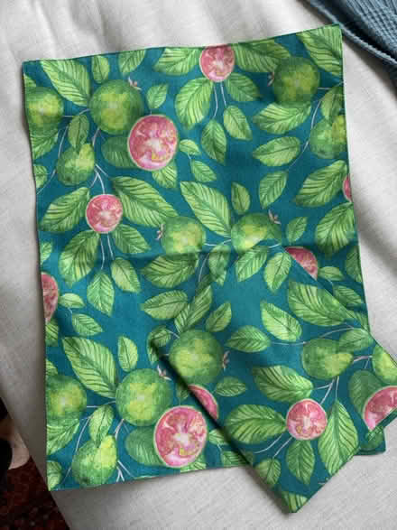 Photo of free 2 placemats (Five Mile Drive OX2) #1