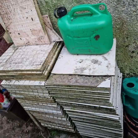 Photo of free Floor tiles 2 different designs (Watcombe TQ2) #1