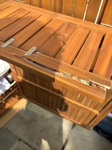 Photo of free Garden shed (Richmond TW10) #3