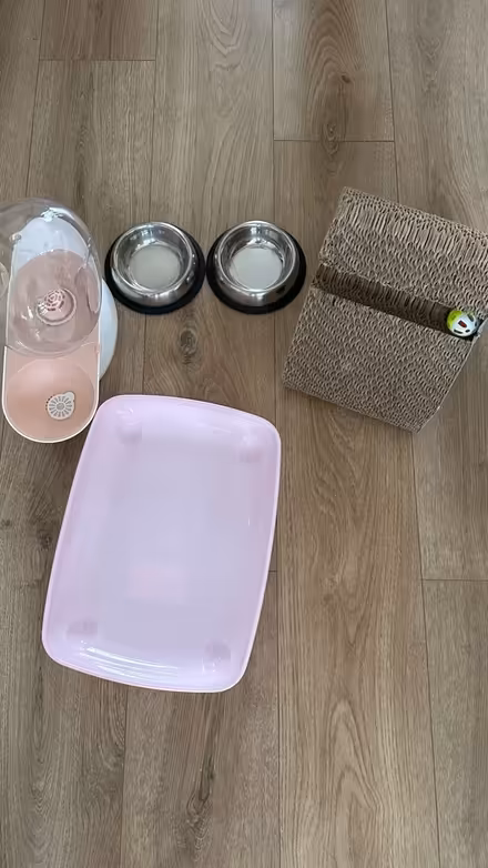 Photo of free Cat litter, bowl, toy water (AL4) #1