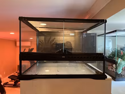 Photo of free 12 by 18 by 12 terrarium with decor (Near School at Mount Auburn.) #1