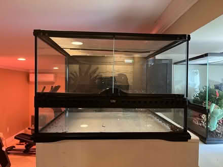 Photo of free 12 by 18 by 12 terrarium with decor (Near School at Mount Auburn.) #1