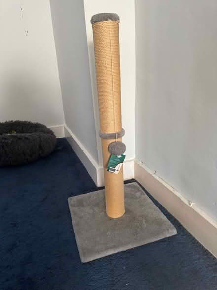 Photo of free Cat scratching post (Finsbury Park N4) #1