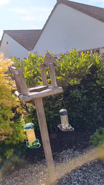 Photo of free Bird table (TQ12 5BW) #2