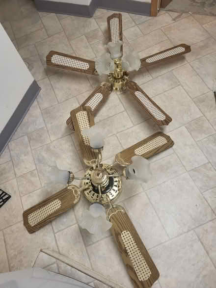 Photo of free Ceiling fans (South Etobicoke) #1