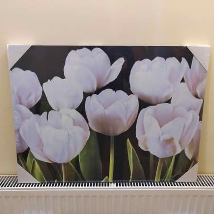 Photo of free White Tulips Canvas Art Print (Finchampstead, RG40) #1