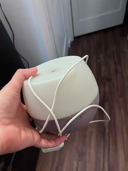 Photo of free Diffuser (Takoma, DC) #2