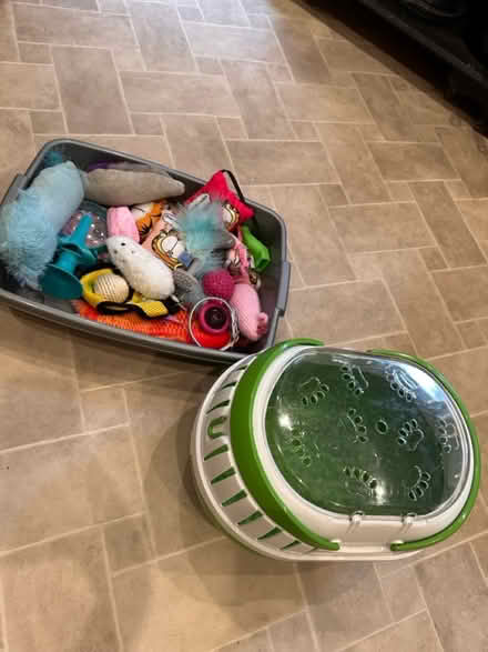 Photo of free Cat / small animal items (RG30, Reading West) #1