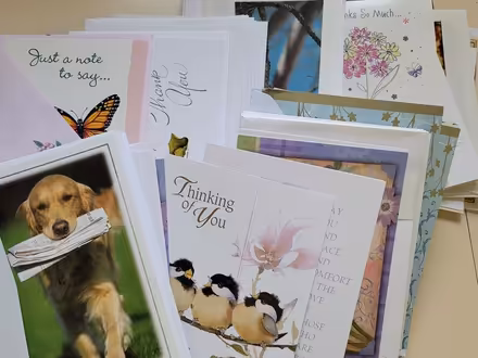 Photo of free 68 Greeting Cards with envelopes (Erin Mills) #1