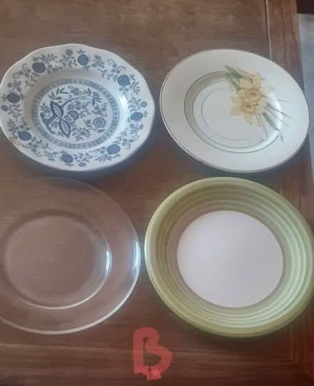 Photo of free Dinner plates (Stockport SK3.) #2