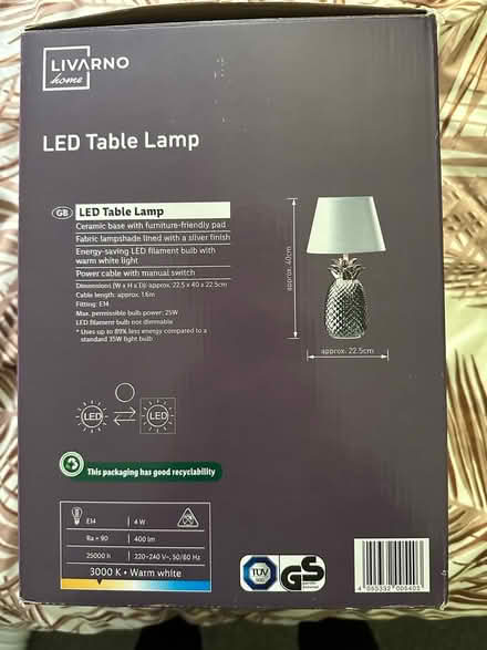 Photo of free Silver Pineapple Lamp (So19 9ah) #2