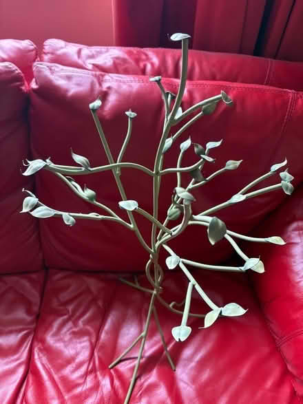 Photo of free Green Metal Tree 65cm tall (Cowley OX4) #2