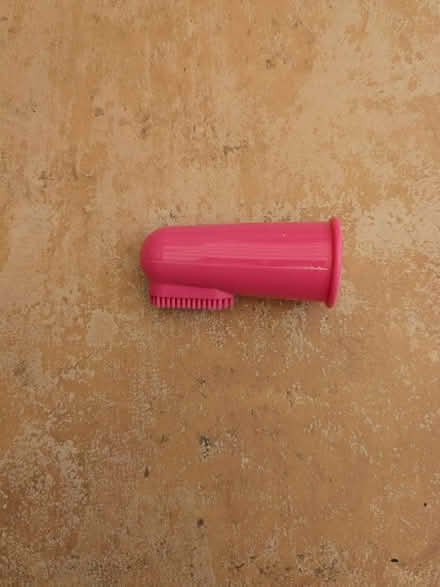 Photo of free Soft finger toothbrush for dogs and cats (Cotham Ward BS6) #1