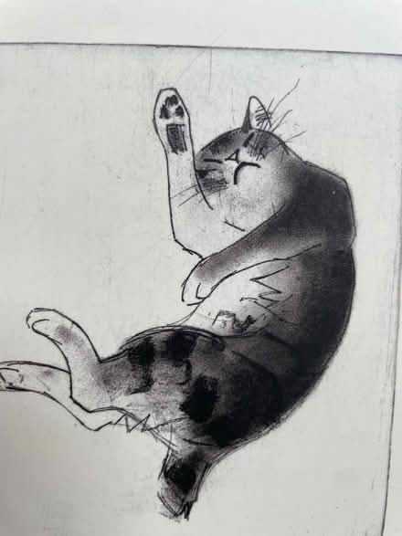 Photo of free Weird one - cat’s whiskers (OX4 3) #1