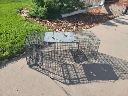 Photo of free Live trap (Near Mississippi and Dayton) #1