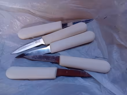 Photo of free Knife X5 (fish, i think) (NOTE 18+) (Tavistock Avenue ST16) #1