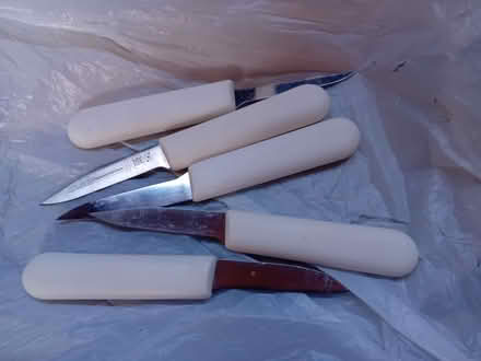 Photo of free Knife X5 (fish, i think) (NOTE 18+) (Tavistock Avenue ST16) #1
