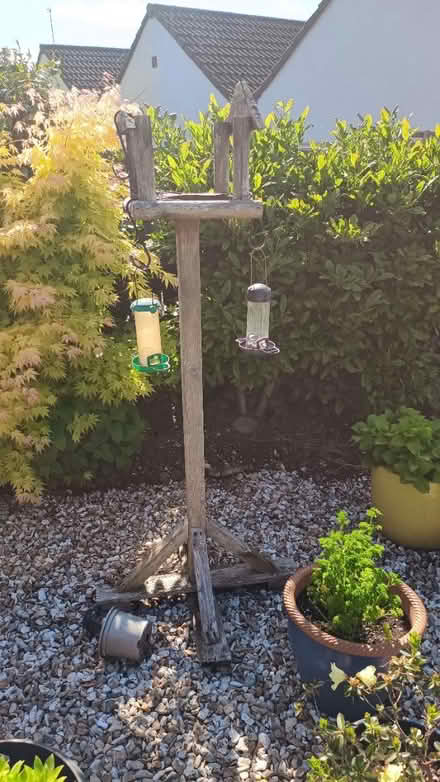 Photo of free Bird table (TQ12 5BW) #1