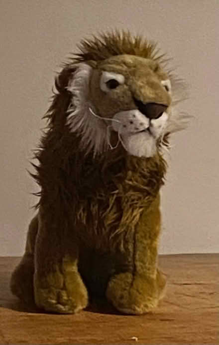 Photo of free Leo the Loveable Lion (Haywards Heath RH16) #1