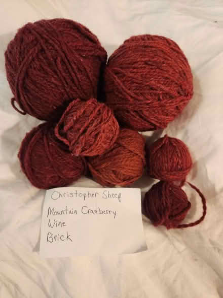 Photo of free Worsted wool yarn in autumn colors (Capitol Hill, DC) #2