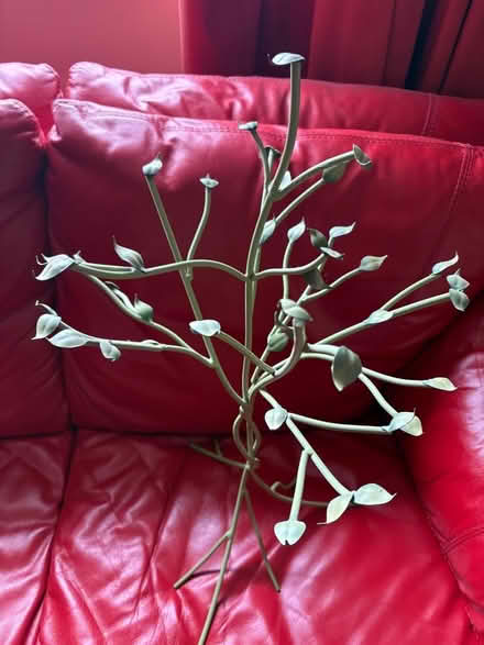 Photo of free Green Metal Tree 65cm tall (Cowley OX4) #2