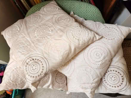 Photo of free 4 lightweight conservatory cushions (Radbrook Green SY3) #1
