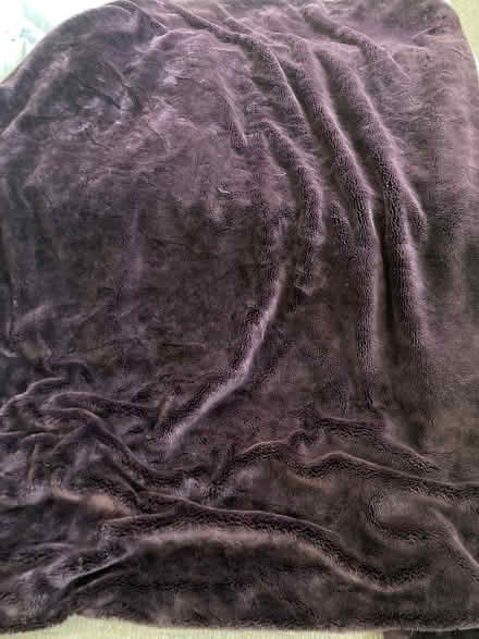 Photo of free Purple blanket (North End BS49) #1