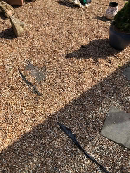 Photo of free 10mm Shingle / Gravel (Matfield TN12) #1