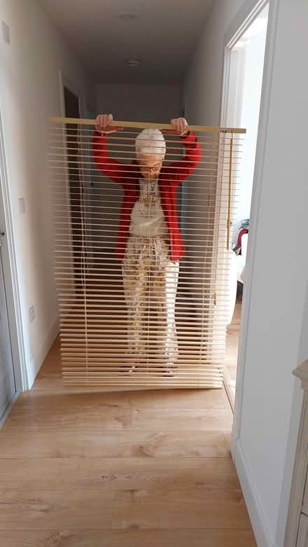 Photo of free Venetian Blind (Cromdale, Grantown-on-Spey) #2