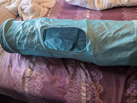 Photo of free Cat tunnel (North West Longmont) #2