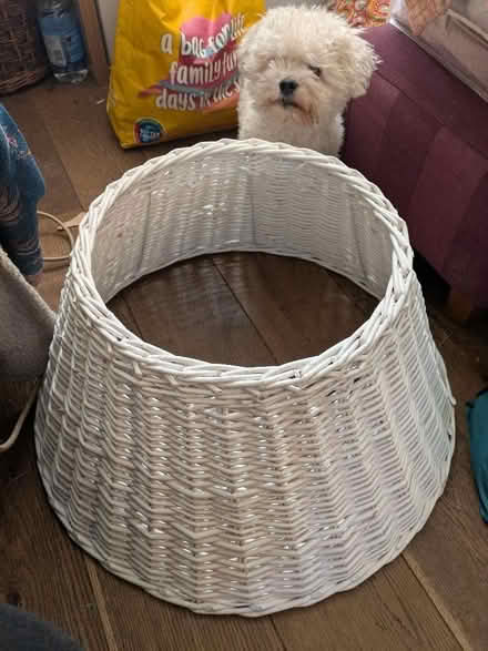 Photo of free Wicker Christmas tree skirt (Freehold LA1) #1