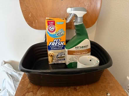 Photo of free New kitten/small cat kit (Ballard) #1