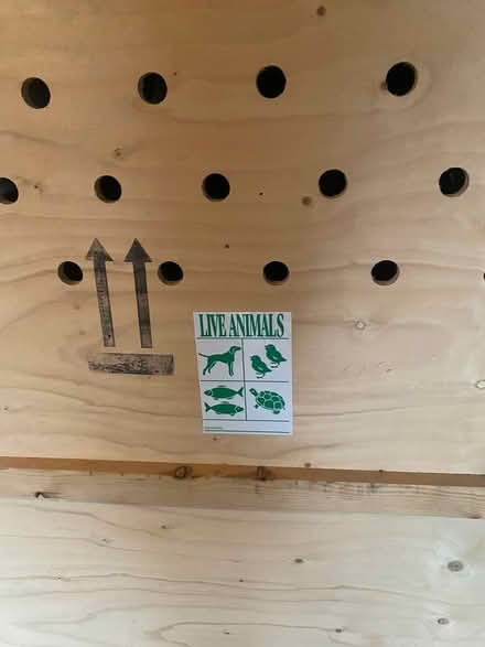 Photo of free Large Dog Crate (Old Town Alexandria) #2